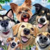 Ravensburger - 16425 - Dog`s Delight (Howard Robinson) - 500 Piece