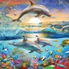 Ravensburger - 12895 - Dolphin Paradise (Adrian Chesterman) - 300 XXL Piece