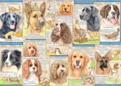 Ravensburger - 16508 - Dutiful Dogs (Anne Searle) - 1000 Piece