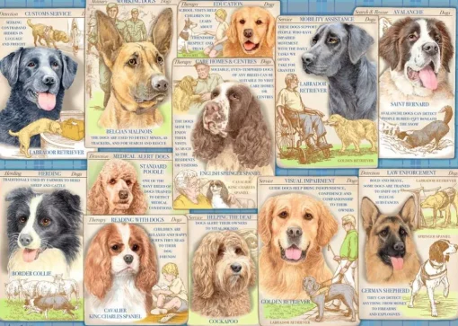 Ravensburger - 16508 - Dutiful Dogs (Anne Searle) - 1000 Piece