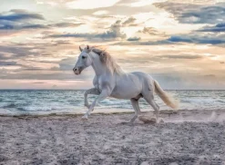 Ravensburger - 16586 - Evening Gallop - 500 Piece