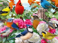 Ravensburger - 14223 - Garden Birds (Howard Robinson) - 500 Piece