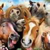 Ravensburger - 14695 - Horsing around (Howard Robinson) - 500 Piece