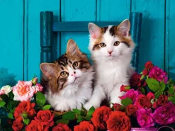 Ravensburger - 16993 - Kittens and Roses - 500 XL Piece