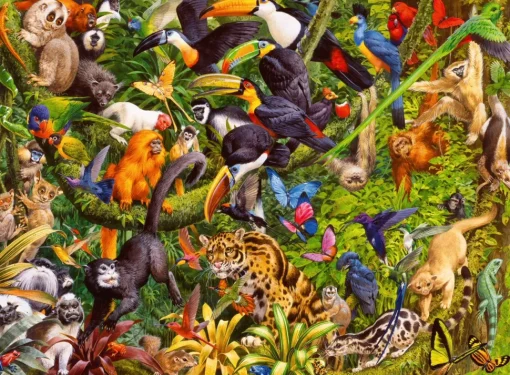 Ravensburger - 13351 - Marvellous Menagerie (John Francis) - 200 XXL Piece