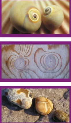 Ravensburger - 16286 - Natural Impressions in Sand - 3 x 500piece