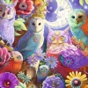 Ravensburger - 17466 - Night Owl Hoot (Laura Audi) - 300 XL Piece