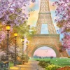 Ravensburger - 16000 - Paris Romance (Dominic Davison) - 1500 Piece