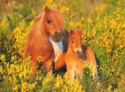 Ravensburger - 13283 - Shetland Ponies - 100 XXL Piece