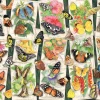 Ravensburger - 17624 - Tropical Butterflies (Anne Searle) - 1000 piece