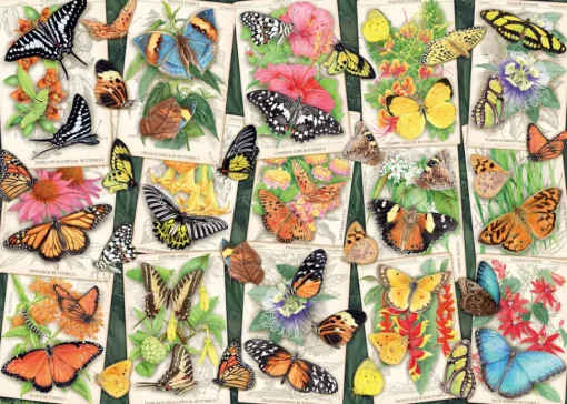 Ravensburger - 17624 - Tropical Butterflies (Anne Searle) - 1000 piece