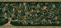 Ravensburger - 17299 - Wizarding World/Harry Potter - Black Family Tree - 2000 Piece Panoramic
