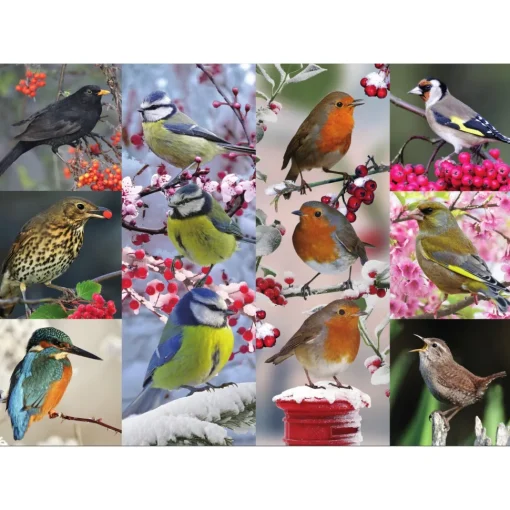 Sawley Fine Arts - JP007 - British Garden Birds - 1000 Piece