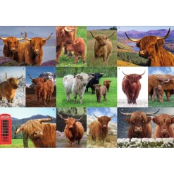 Sawley Fine Arts - JP008 - Highland Cows - 1000 Piece
