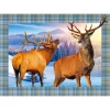 Sawley Fine Arts - JP010 - Red Deer Stags - 1000 Piece