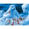 Schmidt - 59913 - Coca Cola - Polar Bears - 1000 Piece