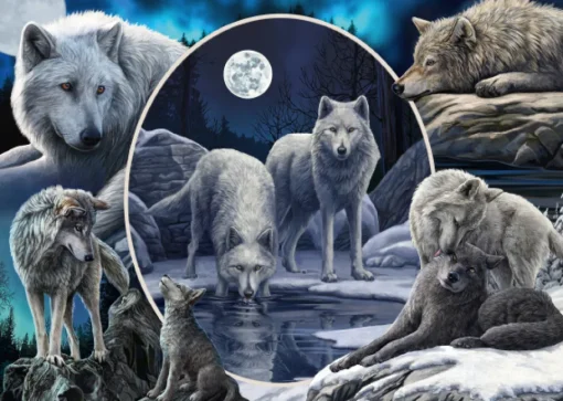 Schmidt - 59666 - Magnificent Wolves (Lisa Parker) - 1000 piece