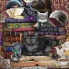 Schmidt - 57534 - Storytime Cats (Brigid Ashwood) - 1000 Piece