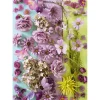 Schmidt - 58944 - Violet Blossom - 1000 Piece