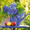 Schmidt - 58283 - Watering Can with Hortensia - 500 Piece