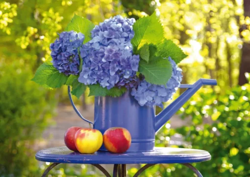 Schmidt - 58283 - Watering Can with Hortensia - 500 Piece