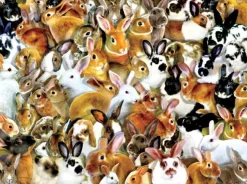 Sunsout - 35211 - A Bundle of Bunnies (Lori Schory) - 1000 Piece