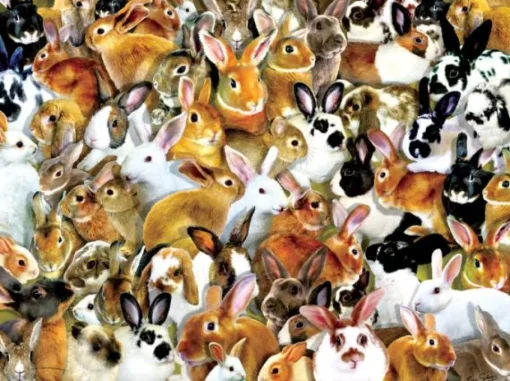 Sunsout - 35211 - A Bundle of Bunnies (Lori Schory) - 1000 Piece