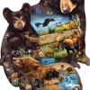 Sunsout - 95732 - Bear Family Adventure (Cynthie Fisher/Lucia Guarnotta) - 1000 Piece Shaped Puzzle
