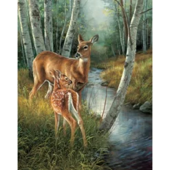 Sunsout - 30933 - Birch creek (Rosemary Millette) - 500piece