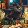Sunsout - 42906 - Black Cat by Candlelight - 500 XL Piece