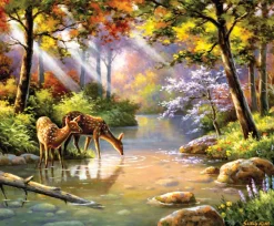 Sunsout - 36597 - Doe Re Me Creek (Sung Kim) - 1000 Piece
