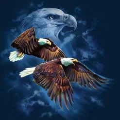 Sunsout - 52409 - Eagle Spirit - 500piece