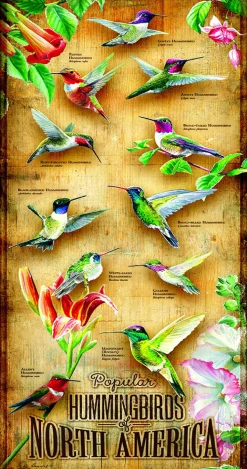 Sunsout - 66401 - Hummingbirds (Susan Bourdett) - 500 Piece Panoramic