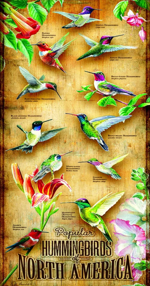 Sunsout - 66401 - Hummingbirds (Susan Bourdett) - 500 Piece Panoramic