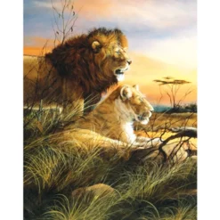 Sunsout - 63236 - Lions at the Watering Hole (Trevor Swanson) - 500piece
