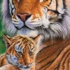Sunsout - 36731 - Mothers Pride (Cory Carlson) - 550piece