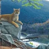 Sunsout - 48815 - Mountain Lion Tracks (Dan Christ) - 500piece