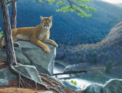 Sunsout - 48815 - Mountain Lion Tracks (Dan Christ) - 500piece