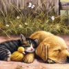 Sunsout - 13725 - Nap Time (Kevin Walsh) - 1000 Piece