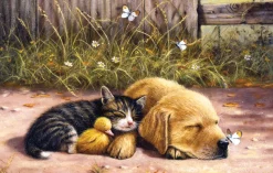 Sunsout - 13725 - Nap Time (Kevin Walsh) - 1000 Piece