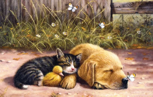 Sunsout - 13725 - Nap Time (Kevin Walsh) - 1000 Piece