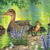 Sunsout - 69794 - On a Field Trip (Abraham Hunter) - 300 Piece