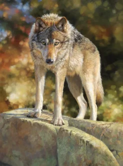 Sunsout - 62498 - Stare Down (Bonnie Marris) - 1000 Piece