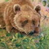 Sunsout - 52109 - The Bear and the Dragonfly (Valeria Yost) - 200piece