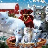 Sunsout - 42227 - Winter Kitties (Rafael Trujillo) - 300 Piece