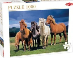 Tactic - 53929 - Camargue Horses - 1000 Piece