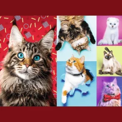 Trefl - 10591 - Happy Cats - 1000 Piece