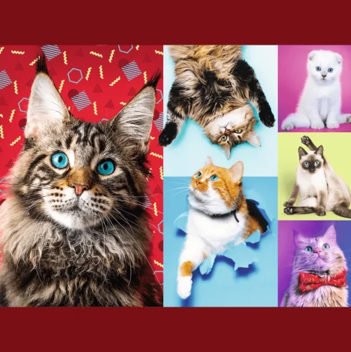 Trefl - 10591 - Happy Cats - 1000 Piece