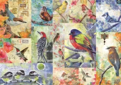 Wentworth - 1000606 - Birds Birds Birds (Nancy Smith) - 250 Piece Wooden