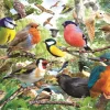 Wentworth - 950606 - Feathered Friends (David Penfound) - 40 Piece Wooden
